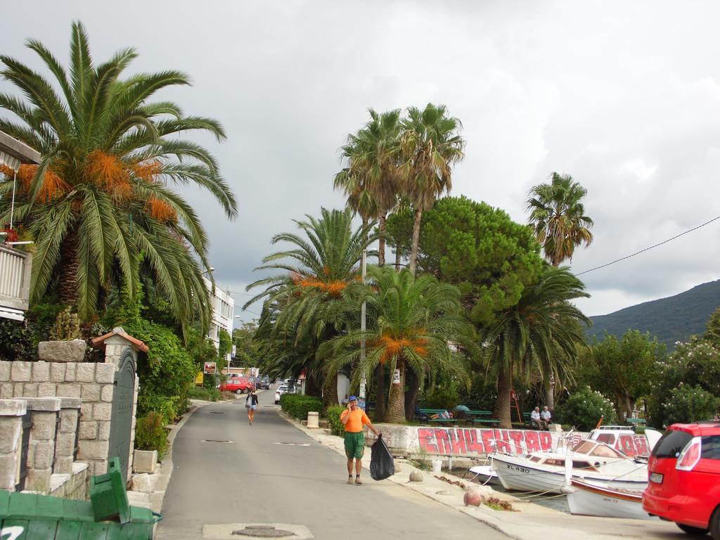 Apartment Begonia Of Kumbor Herceg Novi Dış mekan fotoğraf