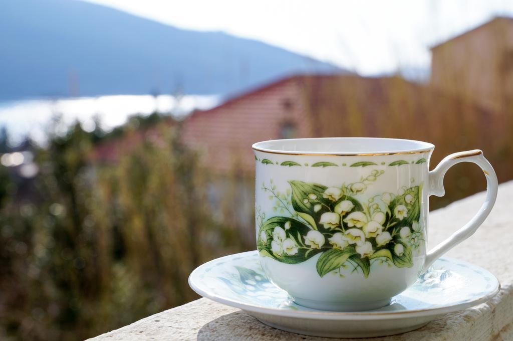 Apartment Begonia Of Kumbor Herceg Novi Dış mekan fotoğraf