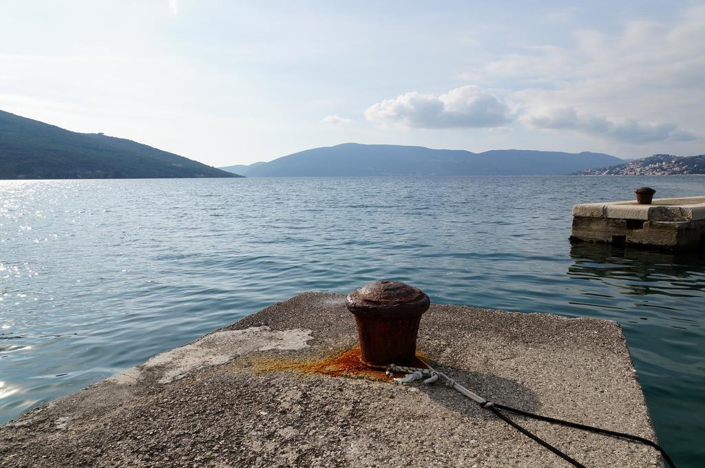 Apartment Begonia Of Kumbor Herceg Novi Dış mekan fotoğraf