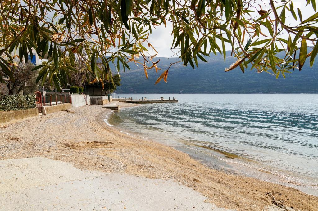 Apartment Begonia Of Kumbor Herceg Novi Dış mekan fotoğraf